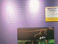 -辽宁古生物博物馆