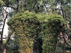 -浙江大学(玉泉校区)