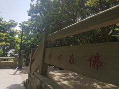 -珞珈山-售票处