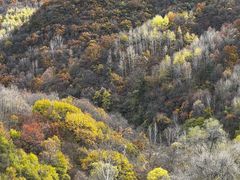 -玉渡山自然风景区