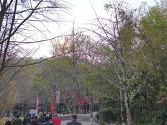 -桂林古东瀑布景区