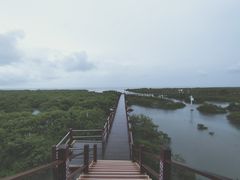 -北海金海湾红树林生态旅游区