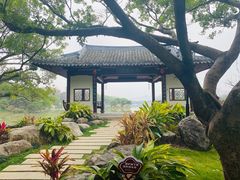 -江心屿景区