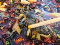 乌鸡-黑竹香鸡(营和巷店)