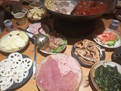 -白乐天毛肚火锅馆(南滨路店)