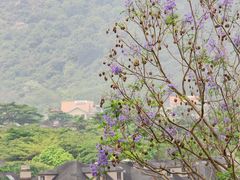 -白石龙音乐公园