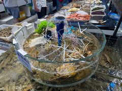 -健跳小海鲜(人民路店)