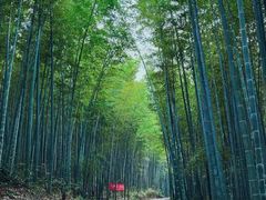 -乌山风景区