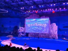 -华夏文旅海洋公园