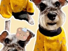 -宠福鑫康馨动物医院·骨科·眼科