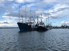 -Steveston Pizza Company (Richmond)