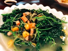 上汤辣椒叶-廉江鹅饭店