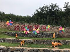 -欢乐松鼠谷
