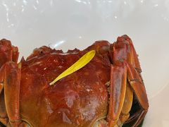 -九福楼大酒店