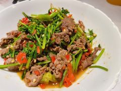 香菜炒牛肉-壹盏灯(蚂蚁工房店)
