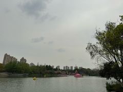 -青枫公园