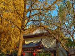 -郑和公园