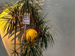 -栖·咖啡