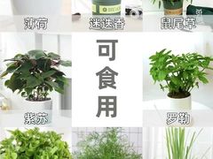 -京东家装(昆明总店)