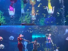 -泉城欧乐堡海洋极地世界