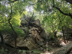 -金龙寺国家森林公园