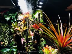 景观位-森味薪火烧•烧鸟居酒屋•日本料理(望京店)