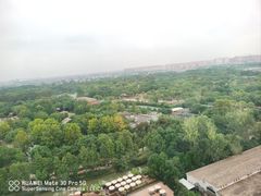 -上海野生动物园