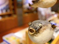-龍千代·味自慢(黑龙江北路店)