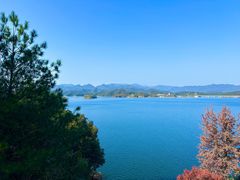 -浔味·山屿湖·正宗淳牌全鱼宴老字号