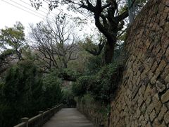 -东河市场