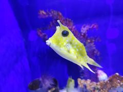 -绿色星球动物主题公园
