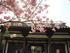 -西安青龙寺遗址景区