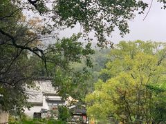 -塔川景区