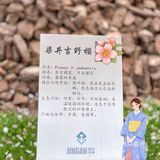 攻略 | 静安区0元不排队赏樱🌸保姆级指南建议收藏