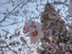 -塘沽站