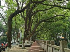 -江心屿景区