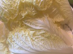 -南门四季铜锅涮肉(大屯·北苑店)