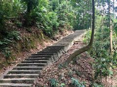 -火炉山森林公园