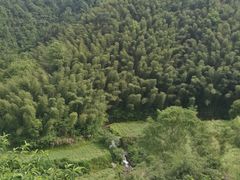 -灵山景区梯田
