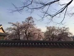 -景福宫