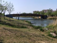 -马家湾湿地公园