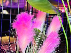 -粉墨特色菜·烧烤音乐酒馆