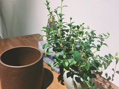 -朴物良社(东明锦园店)
