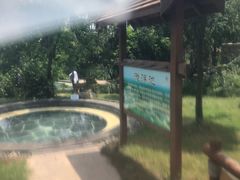 -东海森林温泉度假酒店