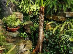 -国家植物园南园