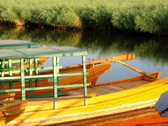 -白渔泡湿地公园