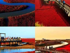 -红海滩国家风景廊道