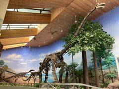 -延庆地质公园博物馆