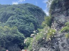 -水墨汀溪风景区