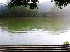 IMG_1433-桂湖饭店